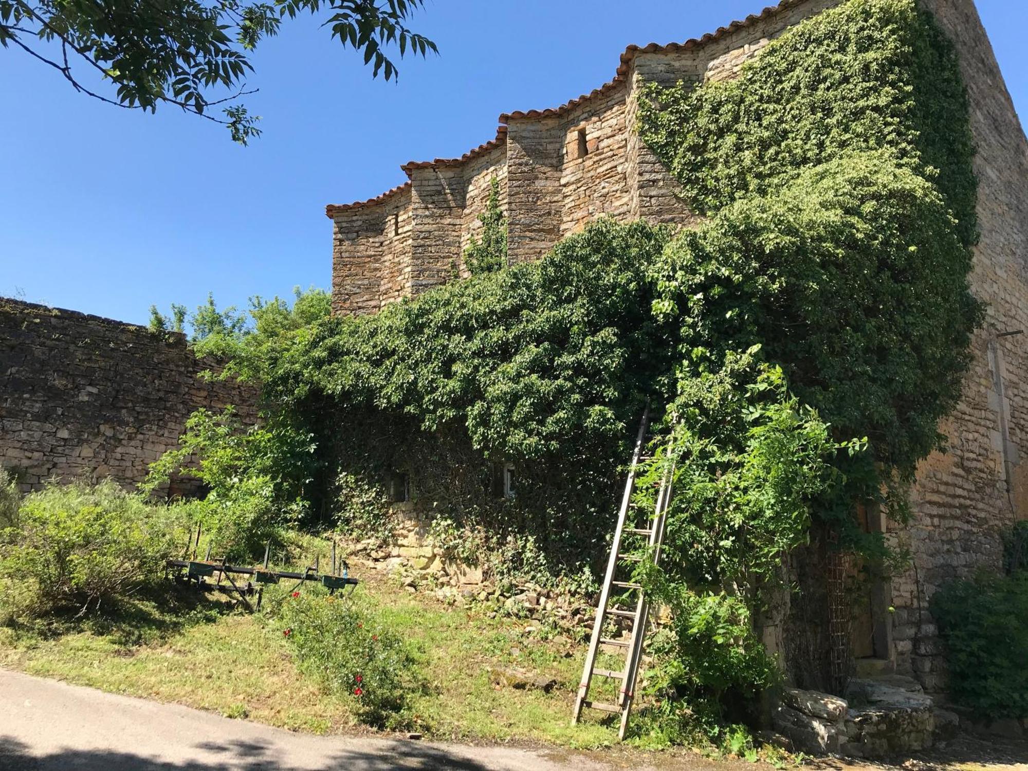 Domaine D'Alcapies Bed and Breakfast Saint-Jean-dʼAlcapiès Exteriör bild